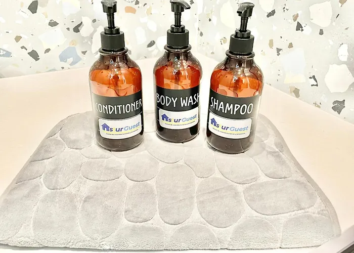 El Carbayonin * אוביידו